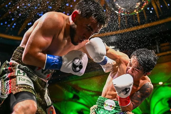Holiday Fights in the Big Apple; Boxing Insider Hosts Holiday Fight Night 3 - Boxing Image